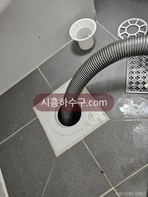세탁기 배수 라인과 바닥 배수구 점검