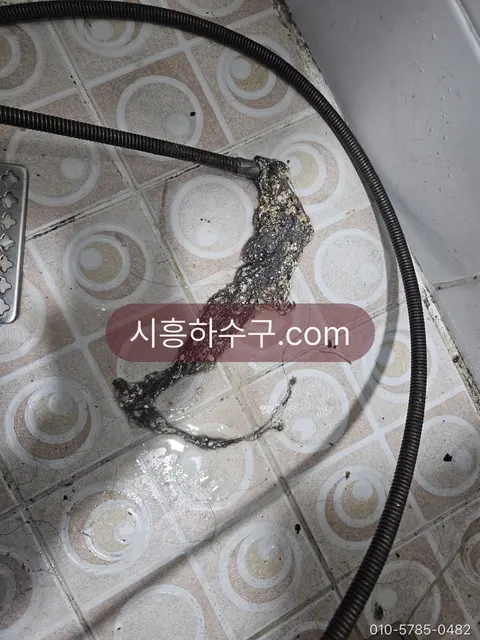 배수구에서 걷어낸 머리카락 뭉치 — 원인 기록용 사진