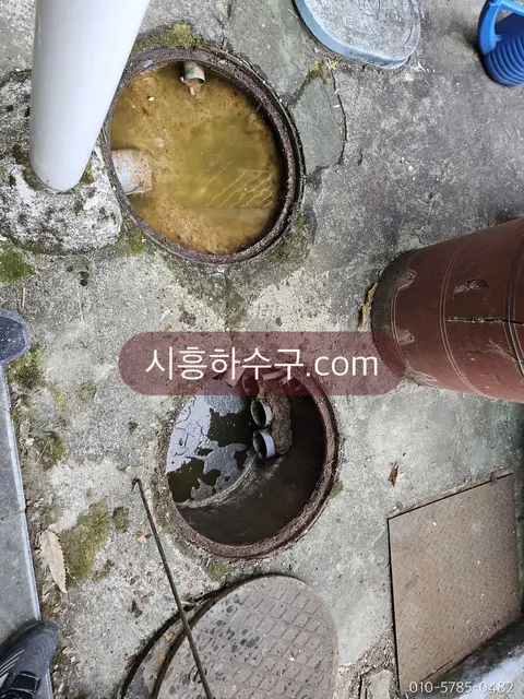 오수가 차오른 마당 오수받이