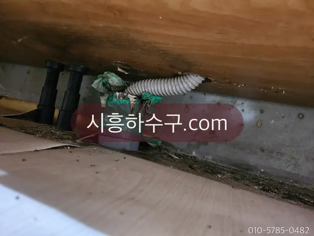 건물 하부 공간에 설치된 배수펌프