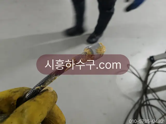 싱크대 배관에서 스프링에 묻어 나온 기름 덩어리