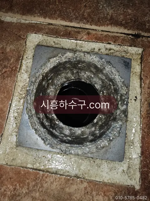 슬러지가 굳은 반지하 화장실 바닥 배수구