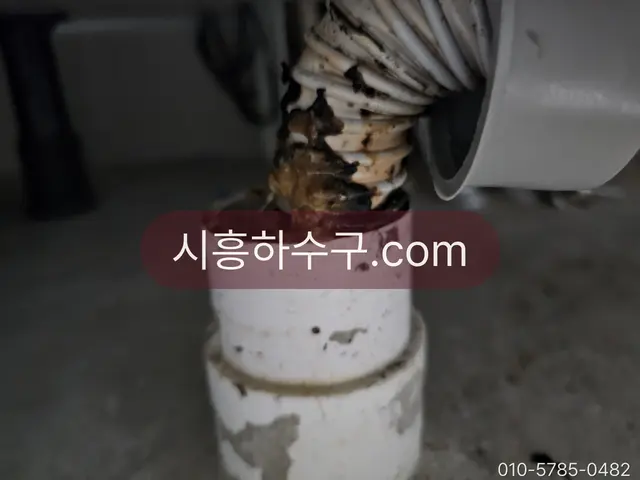 드레인 호스에서 뽑아낸 물때·슬러지